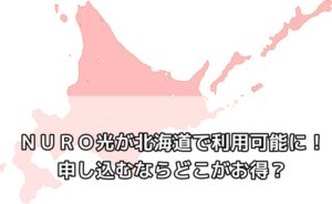 北海道からディズニーランド旅行へ 2泊3日でかかった費用を公開 暮らし便利手帖